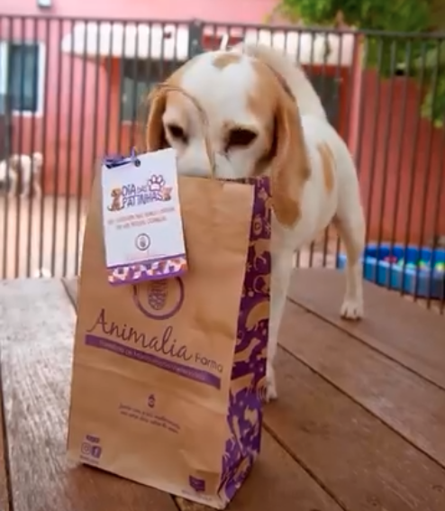 Animalia Farma - foto 4