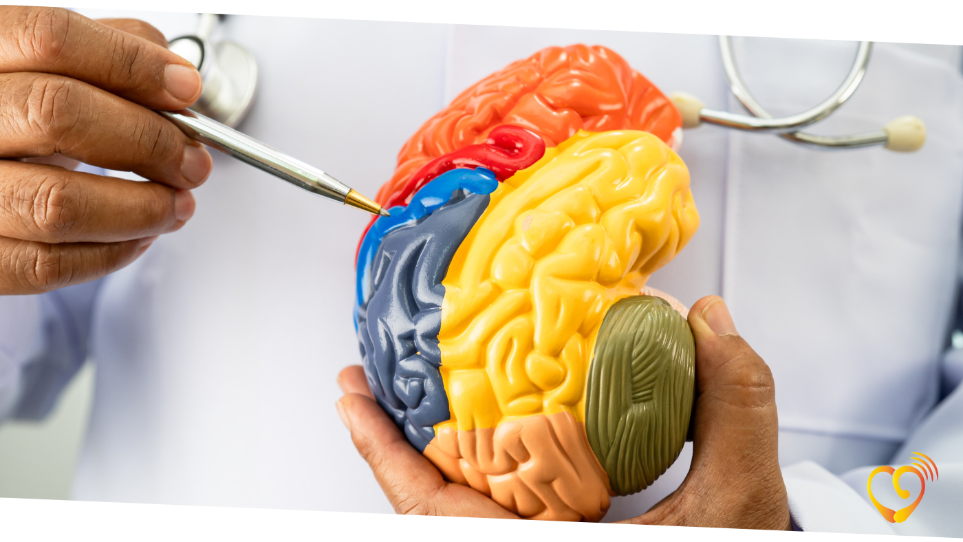 Medico indicando Alzheimer Medico indicando Alzheimer